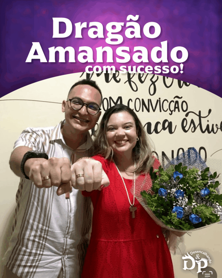 Dragão Amansado 3